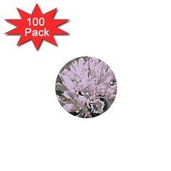 White Flower 1  Mini Buttons (100 Pack) 