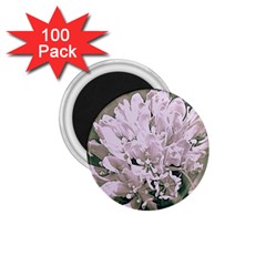 White Flower 1 75  Magnets (100 Pack) 