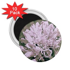 White Flower 2 25  Magnets (10 Pack) 