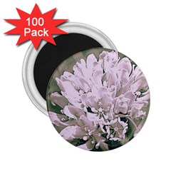 White Flower 2 25  Magnets (100 Pack)  by uniquedesignsbycassie