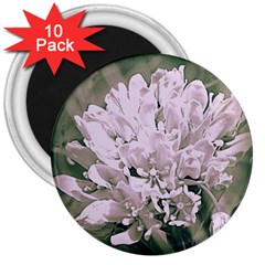 White Flower 3  Magnets (10 Pack) 