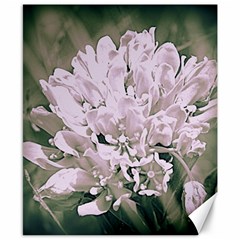 White Flower Canvas 8  X 10  by uniquedesignsbycassie