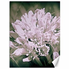 White Flower Canvas 36  X 48   by uniquedesignsbycassie