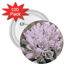 White Flower 2 25  Buttons (100 Pack) 