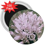 White Flower 3  Magnets (100 pack) Front