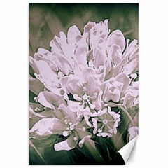 White Flower Canvas 20  X 30  