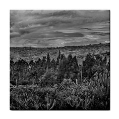 Ecuador Landscape Scene At Andes Range Tile Coasters by dflcprints