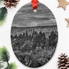 Ecuador Landscape Scene At Andes Range Ornament (oval)  by dflcprints