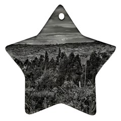 Ecuador Landscape Scene At Andes Range Ornament (star)  by dflcprints