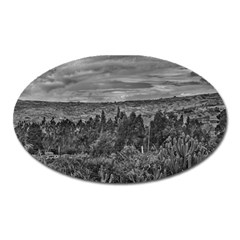 Ecuador Landscape Scene At Andes Range Oval Magnet by dflcprints