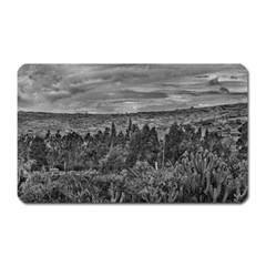 Ecuador Landscape Scene At Andes Range Magnet (rectangular) by dflcprints