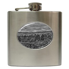 Ecuador Landscape Scene At Andes Range Hip Flask (6 Oz) by dflcprints