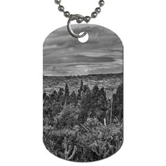 Ecuador Landscape Scene At Andes Range Dog Tag (two Sides) by dflcprints