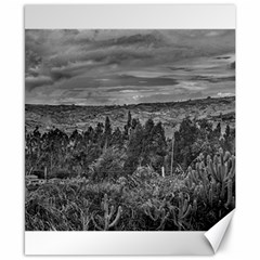 Ecuador Landscape Scene At Andes Range Canvas 8  X 10  by dflcprints