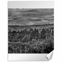 Ecuador Landscape Scene At Andes Range Canvas 18  X 24   by dflcprints