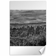 Ecuador Landscape Scene At Andes Range Canvas 24  X 36  by dflcprints