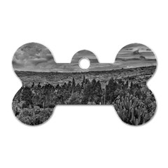 Ecuador Landscape Scene At Andes Range Dog Tag Bone (one Side) by dflcprints