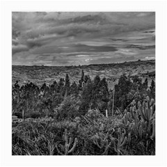 Ecuador Landscape Scene At Andes Range Medium Glasses Cloth by dflcprints