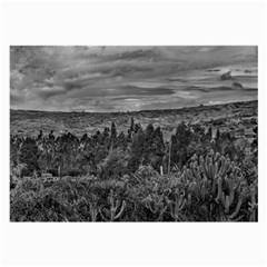 Ecuador Landscape Scene At Andes Range Large Glasses Cloth (2-side) by dflcprints