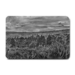 Ecuador Landscape Scene At Andes Range Small Doormat  by dflcprints