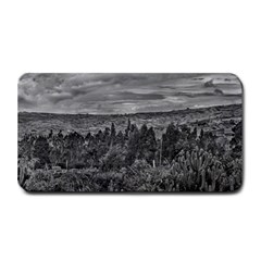 Ecuador Landscape Scene At Andes Range Medium Bar Mats by dflcprints