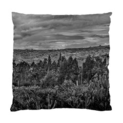 Ecuador Landscape Scene At Andes Range Standard Cushion Case (one Side) by dflcprints