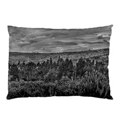 Ecuador Landscape Scene At Andes Range Pillow Case (two Sides) by dflcprints