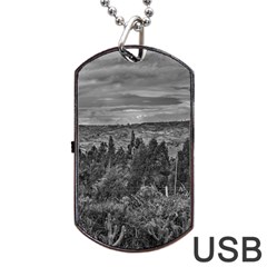 Ecuador Landscape Scene At Andes Range Dog Tag Usb Flash (two Sides)  by dflcprints