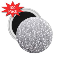 Grey Ombre Feather Pattern, White, 2 25  Magnet (100 Pack)  by Zandiepants