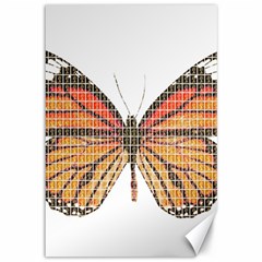 Butterfly Canvas 12  X 18  