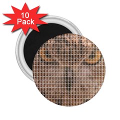 Owl 2 25  Magnets (10 Pack)  by cocksoupart