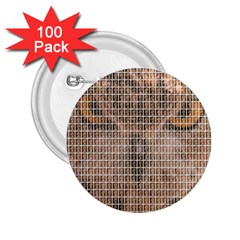 Owl 2 25  Buttons (100 Pack) 