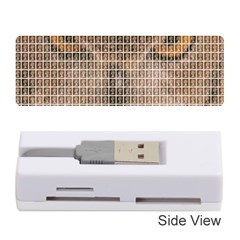 Owl Memory Card Reader (stick) 