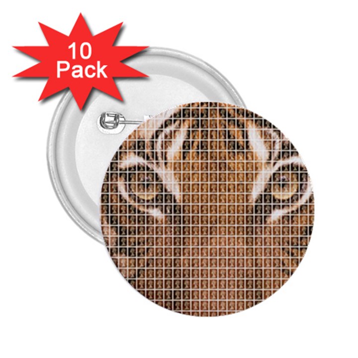 Tiger Tiger 2.25  Buttons (10 pack) 