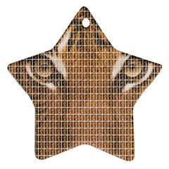 Tiger Tiger Star Ornament (Two Sides) 