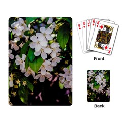 Tree Blossoms Playing Cards Single Design