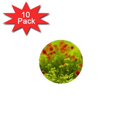 Poppy I 1  Mini Magnet (10 Pack) 