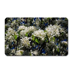 Floral Skies 2 Magnet (rectangular)