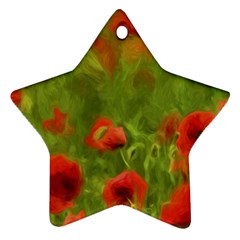 Poppy Ii - Wonderful Summer Feelings Star Ornament (two Sides) 