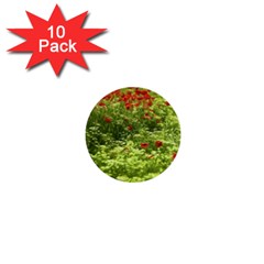 Poppy V 1  Mini Buttons (10 Pack) 