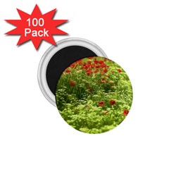 Poppy V 1 75  Magnets (100 Pack)  by colorfulartwork