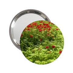 Poppy V 2 25  Handbag Mirrors by colorfulartwork