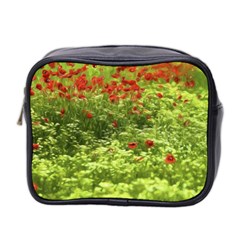 Poppy V Mini Toiletries Bag 2-side by colorfulartwork