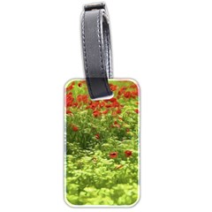 Poppy V Luggage Tags (two Sides) by colorfulartwork