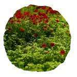 Poppy V Large 18  Premium Round Cushions Front