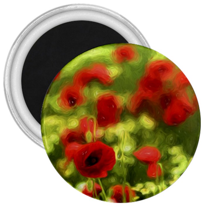 Poppy VI 3  Magnets