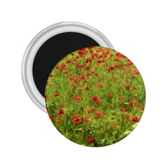 Poppy VII 2.25  Magnets