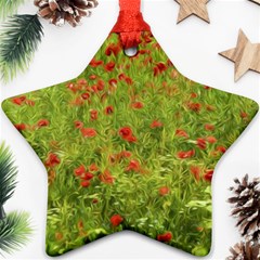 Poppy VII Ornament (Star) 