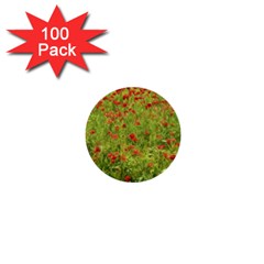 Poppy VII 1  Mini Buttons (100 pack) 