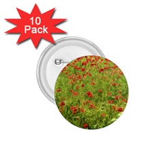 Poppy Vii 1 75  Buttons (10 Pack) by colorfulartwork